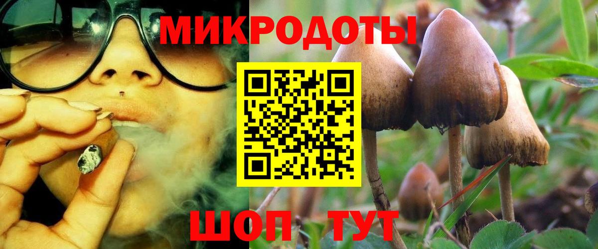 Галлюциногенные грибы Magic Shrooms  Галлюциногенные грибы Cubensis  Вход с VPN  Сердобск 