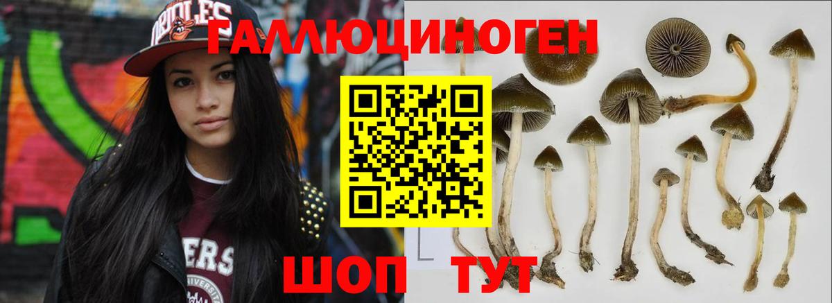 Галлюциногенные грибы MAGIC MUSHROOMS Сердобск